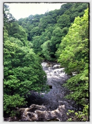 The Great Trail Challenge