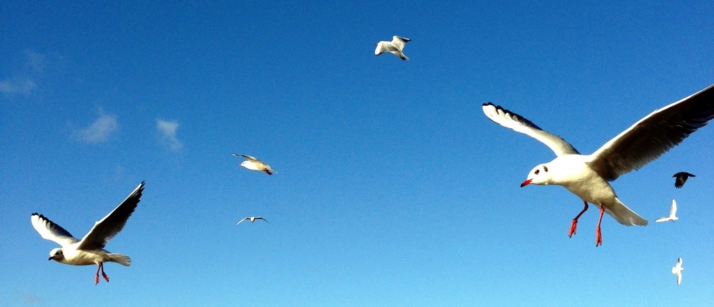 20121125-175230.jpg