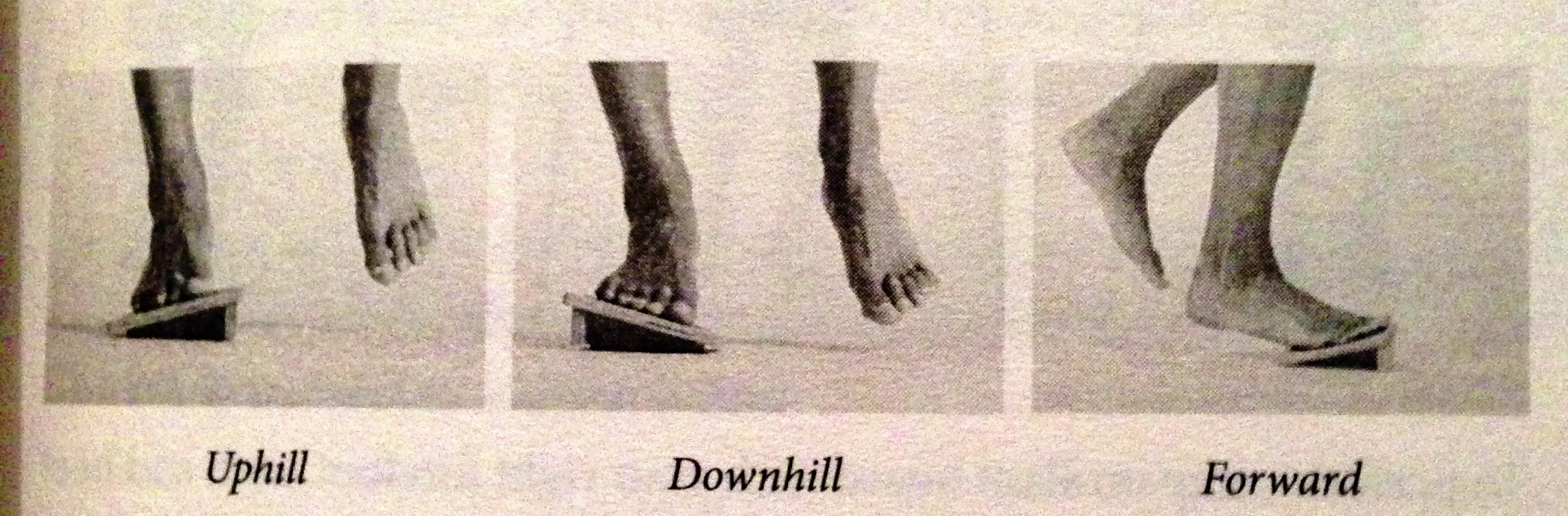 Cool Impossible Slant Board Positions Cool Impossible Slant Board Positions